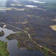 Une forêt partiellement brûlée vue des airs près d'une rivière.