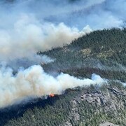 Un feu de forêt.