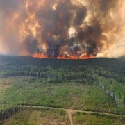 Le feu ravage une forêt.