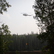 Un hélicoptère vole au-dessus de la forêt, près d'Edson, en Alberta, le 13 juin 2023.