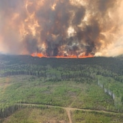 Un feu de forêt et un épais nuage de fumée qui monte du sol dans une région forestière.