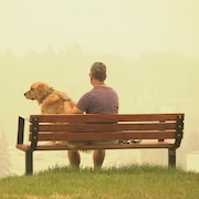 Un homme et son chien sont assis sur un banc situé sur une colline surplombant Calgary. Une épaisse fumée de feu de forêt s'abat sur la ville.