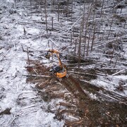 Un bulldozer roule dans un forêt dévastée après le passage de Fiona. Des arbres jonchent un sol enneigé.