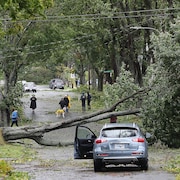 Un arbre bloque la circulation dans la rue Roslyn à Halifax, après le passage de la tempête Fiona, le samedi 24 septembre 2022.