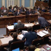 Capture d'écran du ministre Pierre Fitzgibbon qui consulte la circulaire de l'épicier MAXI, lors de la période de questions.