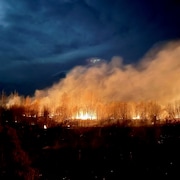 Des flammes brûlent de la végétation la nuit lors d'une pleine lune.