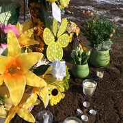 Des fleurs et des chandelles pour honorer la mémoire des victimes de l'accident d'autocar de l'équipe de hockey de Humboldt.