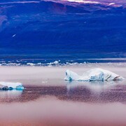 Des icebergs au Groenland.