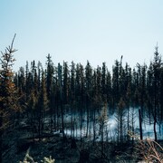 De la fumée blanche se dégage après un incendie dans une forêt près de la localité de Chapais, dans le Nord-du-Québec.