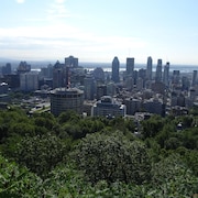 Vue des immeubles du centre-ville de Montréal et des arbres sur le flanc du mont Royal