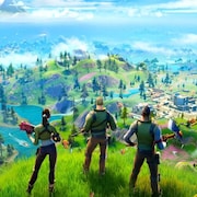 Des personnages de Fortnite observent un paysage du haut d'une colline. 