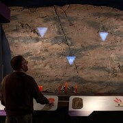 Une personne contemple les fossiles exposés sur un mur du Musée Royal Tyrrell.
