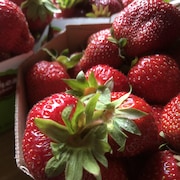 Des fraises dans un panier.
