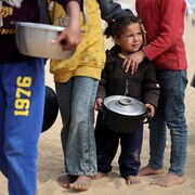 Des enfants palestiniens déplacés dans la bande de Gaza.