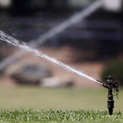 Un jet d'eau est projeté d'un gicleur installé sur une pelouse.