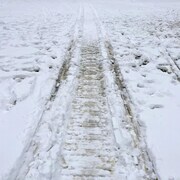 Des traces de motoneige sur de la glace.