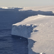 Un glacier s'étend dans l'eau sur plusieurs kilomètres.