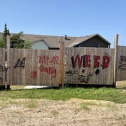 Des graffitis sur un mur de bois à proximité d'une école primaire.