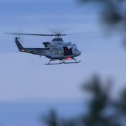 Un hélicoptère à travers les branches.