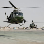Des hélicoptères Griffon se posent sur une piste d'atterrissage.