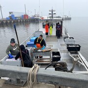 Un équipage sur un bateau de pêche au homard, au quai.
