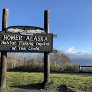 La petite ville d'Homer se targue d'être la capitale mondiale de la pêche au flétan. 