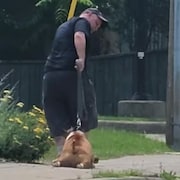 Un homme de dos tirant sur la laisse d'un chien qui refuse d'avancer.