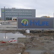 Le nouveau siège social de HyLife, à Steinbach, lors d'une soirée nuageuse.
