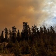 L'incendie de forêt dans la région de Carberry Portage. 