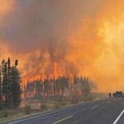 Un feu de forêt