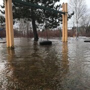 Une balançoire en pneu baigne dans l'eau dans une parc inondé.