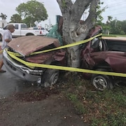 Une camionnette emboutie dans un arbre. Le conducteur est décédé des suites de l'accident durant le passage de l'ouragan Irma.