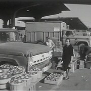 Une femme devant des étalages de tomates.