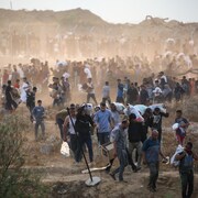 Des centaines de Palestiniens transportent des sacs et des boîtes de nourriture.