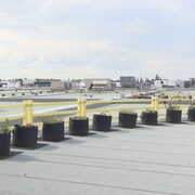 Les pots de fleurs en ligne sur le toit du centre commercial Kingsway à Edmonton (septembre 2023).
