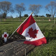 Une plaque posée à l'horizontale dans un cimetière. Elle est décorée d'un petit drapeau du Canada et d'un coquelicot rouge.