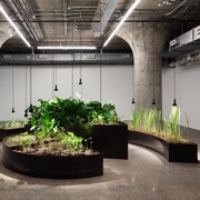 Des plantes installées dans des bacs à l'intérieur d'une grande salle d'un musée.