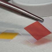 Des rectangles de couleur rouge et jaune imprimés sur des bandelettes de plastique.