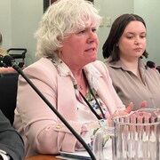 Kim Barro, sous-ministre associée de la Santé de la Nouvelle-Écosse, assise à une table lors d'une réunion. 