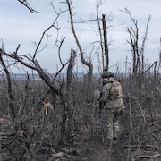 Un soldat marche au milieu d'un secteur boisé où tous les arbres sont morts.