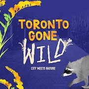 L'affiche de l'exposition « Toronto Gone Wild ».