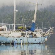 Un bateau abandonné recouvert de mousse à plusieurs endroits.