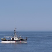 Un bateau de pêche dans fleuve Saint-Laurent.