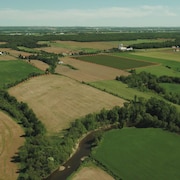 images aérienne de petites parcelles de champs agricoles de différentes cultures.