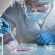 Un scientifique transporte avec précaution une cellule mature dans le cadre d'une recherche.