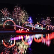 Des lumières de Noël décorent un sentier bordant un lac.
