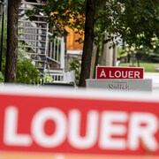 Des pancartes «à louer» affichées dans une rue de Verdun, à Montréal, le 26 juin 2025.