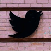 Le logo de Twitter sur un mur en briques