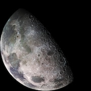 La Lune dans l'objectif de la sonde Galileo.