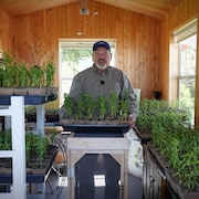 Louis-Émile Cormier montre un plateau de plantes d'asclépiades dans sa serre remplie de semis.